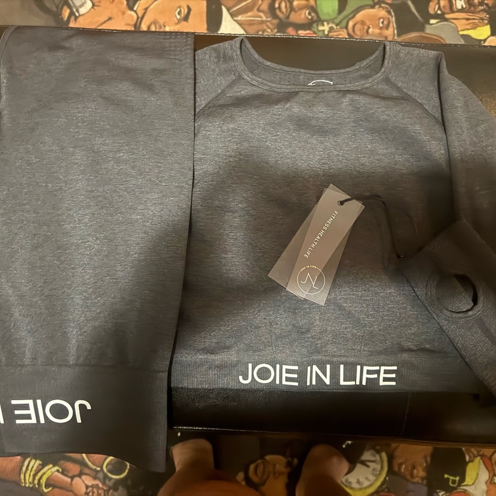 Joie in Life Gray Crop and Pants Set